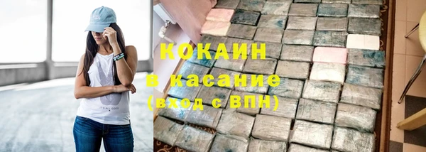 гашик Алексин