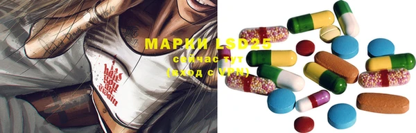 гашик Алексин