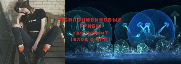 гашик Алексин
