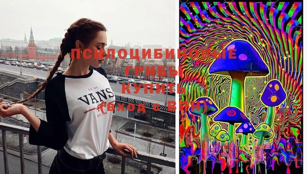 MDMA Алексеевка