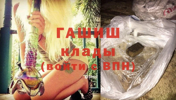 гашик Алексин